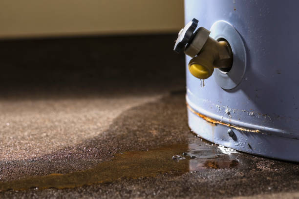 Best 24/7 water damage repair  in Papillion, NE