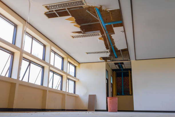 Best Water damage restoration near me  in Papillion, NE