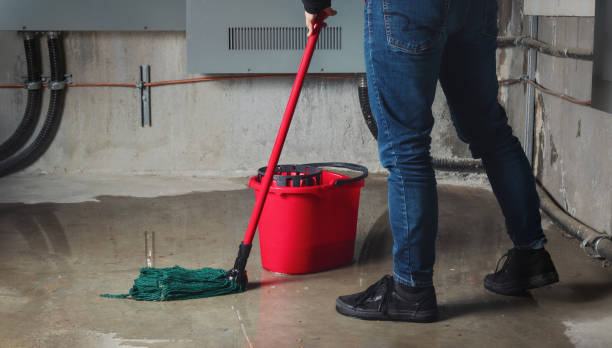 Best Water damage restoration insurance claims  in Papillion, NE