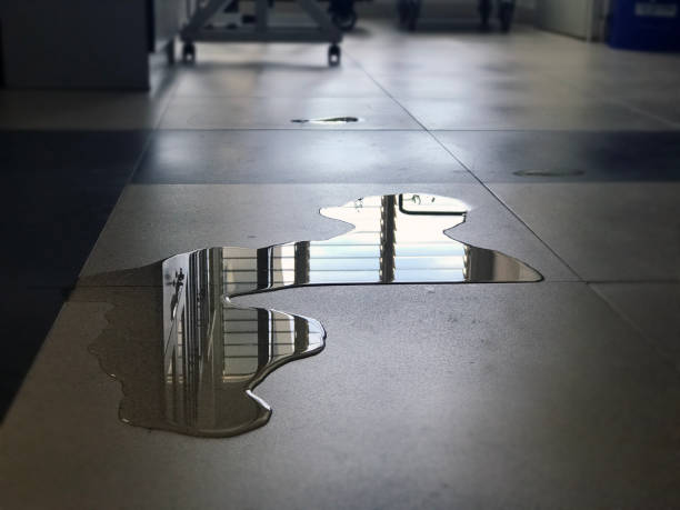 Best Commercial water damage restoration  in Papillion, NE