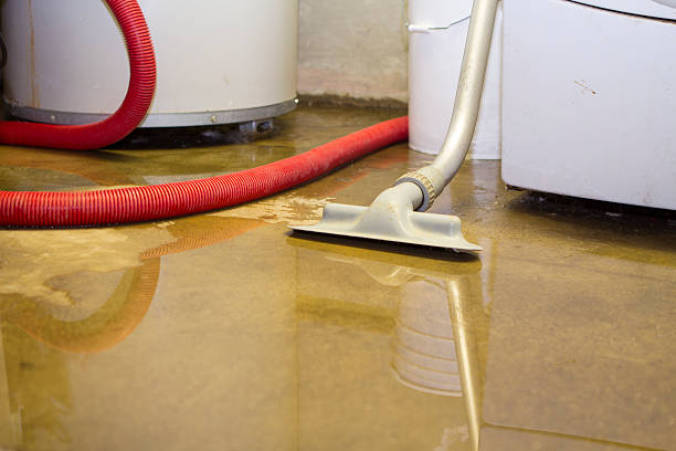 Water damage restoration experts in Papillion, NE