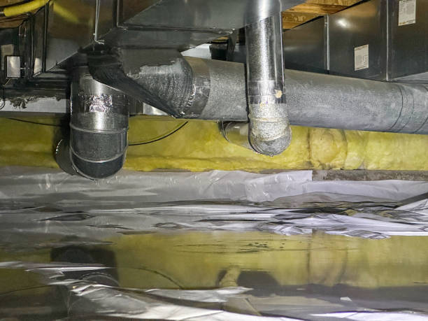 Best Fire Damage Restoration  in Papillion, NE
