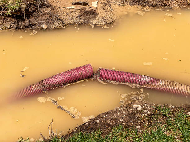 Best Water damage restoration near me  in Papillion, NE